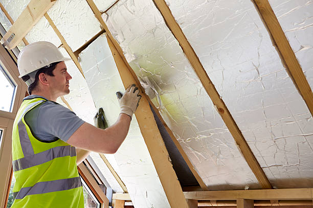 Best Spray Foam Insulation  in Rancho Alegre, TX